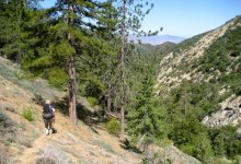 No Extra Wilderness for Los Padres