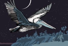 ‘Tis the Season 2014