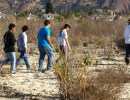 Riparian Restoration Ongoing