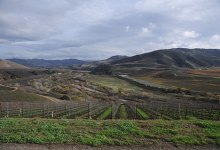 The Miracles and Misery of Mt. Carmel