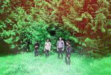 White Arrows Get Free