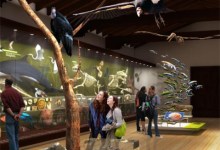 Santa Barbara Museum of Natural History Remodel Approved