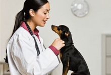 What Is Diabetes Mellitus?