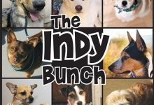 The Indy Bunch