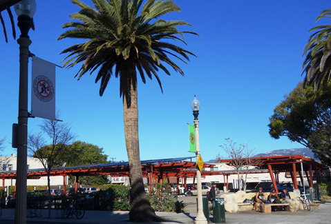 Vanlife Goes to School in Isla Vista - The Santa Barbara Independent