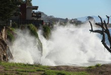 King Tide Project Samples Sea Rise