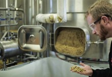 The Craft of Beer