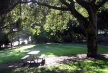 The Man Who Named Orpet Park