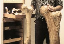 Larry Agenbroad:  1933 – 2014