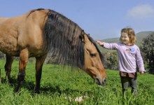 Kindergartener Meets Wild Horse in Make-A-Wish Trip
