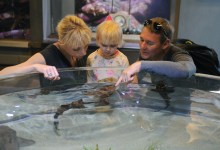 Sneak Peek at Sea Center Remodel