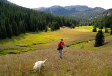 A Conversation with Best-Selling Author Robert Stone