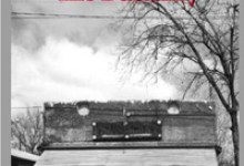 Book Review: Hey Guy, This Is The Butterfly