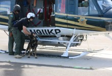That Dog Can Fly