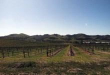 Garagiste Winemakers Unite in Solvang