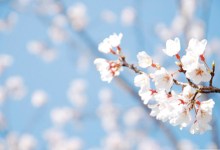 April Is Poetry Month, Part III