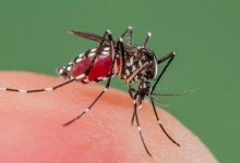 Zika Affects Two California Babies