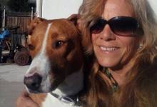 Deputy Shoots Dog During Montecito Arrest