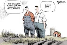 Drought Turns a Light on Farming Methods