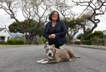 The S.B. Questionnaire: Cathy Murillo