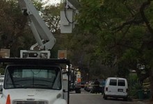Bee Swarm Closes San Pascual Street