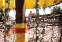 Goleta’s Disc Golf Guru