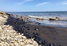 Plains Pipeline Tries to Dodge Felony Conviction for 2015 Oil Spill