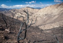 Death on the Deck