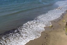 Refugio Volunteers Turned Away