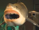 Monster Shark Eats Mission Canyon