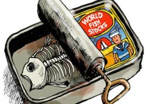 West Coast Sardine Fishery Closure Not Due to Overfishing