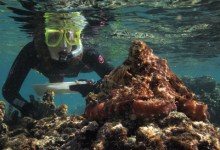 Octopus Whisperer Speaks at Santa Barbara Zoo