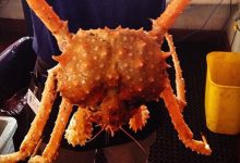 Santa Barbara Shellfish Company’s Fresh Fish and Fine Views