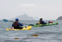 Will Refugio Oil Spill Hurt Tourism?