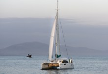 Culinary Sensations at Sea