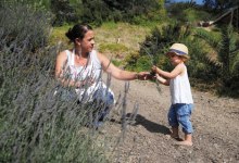 Rancho Palomino’s Agriturismo Dreams