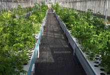 Goleta Company Grows the Roots of Future Farming