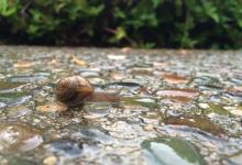 Tenths of Inches of Drought Relief