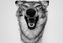 Yelawolf’s Love Story Hits All the Right Notes