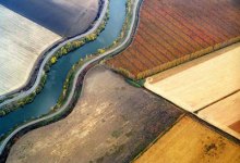 Summer Arts Preview: Visual Art