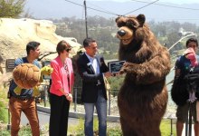 Reaccreditation and Tiny the Grizzly Bear Introduced at Zoo