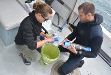 Assessing the Channel After the Refugio Oil Spill
