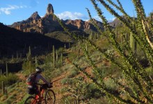 Hitting the Trail on Wheels