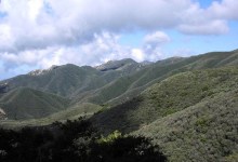 Secret Treasures of Our Threatened Chaparral Forest