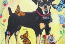 March of Mourning Scheduled for Davey the Puppy