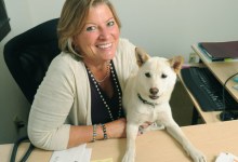 Ready to Write About Real Estate