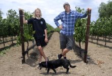 Joey Tensley’s Syrah Empire