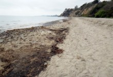 Summerland Beach Closed