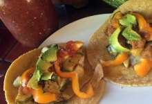Pan-Fried Summer Squash Tacos