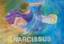 Narcissus
